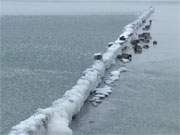 Die Ostsee beginnt zu gefrieren: Buhne zwischen den Bernsteinbdern Klpinsee und Koserow.