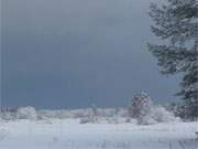 Die Schneewolken reien fr einen Augenblick auf: Hinter dem Steinbock-Ferienhof.