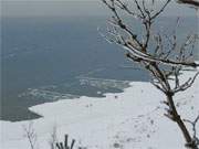 Winterliches Usedom-Panorama: Blick durch vereiste Zweige auf den Ostseestrand.