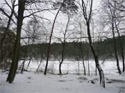 Blick durch den Winterwald: Der Waldsee "Schwarzes Herz" zwischen Wolgastsee und Zerninmoor.