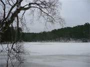 Am Zerninmoor: Waldsee "Schwarzes Herz" auf der Insel Usedom.