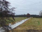 Fast schon frhlingshaft: Wiesen am Achterwasserdeich bei Pudagla.