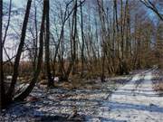 Am Rauhen Berg: Die winterliche Achterwasserkste zwischen Neppermin und Pudagla im Hinterland.