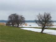 Vom Schnee befreit: Wiesen zu Fen des Loddiner Hftberges.