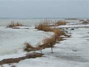 Erstarrt: Unbeweglich liegt das Achterwasser an der Loddiner Melle unter Eis.