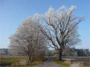 Naturpark Insel Usedom: Winterliches Landschaftspanorama nahe des Bernsteinbades Loddin.