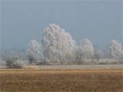 Wintererlebnis Usedom: Wiesenland hinter den Steinbock-Ferienwohnungen in Klpinsee.