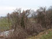 Zwischen Pudagla und Neupudagla zieht der Regen ber das Wiesenland am Achterwasser.