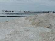 Am Ostseestrand des Bernsteinbades Zempin: Die Seebrcke von Koserow.