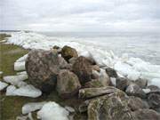 Mchtige Brocken: Vom Eisgang wurden groe Feldsteine auf die Mole von Kamminke geschoben.