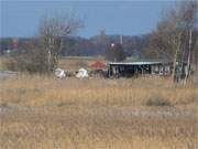 Im Schilf: Der Achterwasserhafen des Bernsteinbades Loddin auf Usedom.