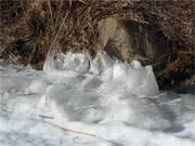 Ornamente des Winters: Vereistes Schilf an der Achterwasserkste der Insel Usedom.