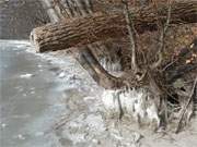 Eiszapfen am Ende des Sandstrandes: Die Haffkste der Insel Usedom bei Kamminke.