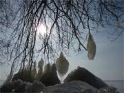 Pendel aus Eis: Eiszapfen an Buchenzweigen am Sandstrand von Kamminke.