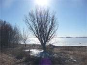 Herrliches Winterwetter auf der Insel Usedom: Am Achterwasser bei Zinnowitz.