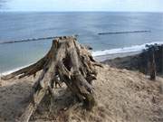 Malerischer Blick ber die Ostsee: Der Streckelsberg nahe dem Bernsteinbad Koserow.