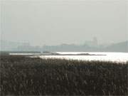 Usedom auf dem Festland benachbart: Die Hafenstadt Wolgast mit der Kirche St. Petri und der Peenewerft.