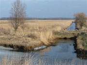 Am Ostseebad Karlshagen ziehen sich die Peenewiesen am Peenestrom entlang.