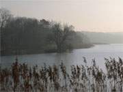 Novemberlicht im Mrz: Der Klpinsee nahe des Usedomer Ostseestrandes.