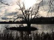 Symbolisch aufgeladen: Wolkenlcke ber dem Klpinsee im Seebad Loddin auf Usedom.