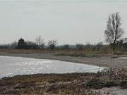 Im Sonnenlicht glitzert das Achterwasser an einem kleinen Strand an der Halbinsel Gnitz.