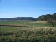 Das Wiesenland zwischen Mellenthin und Morgenitz im Hinterland der Insel Usedom.