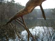 Naturpark Insel Usedom: Authentisches Naturerlebnis im Hinterland der Ostseeinsel.