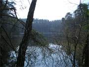 Auf dem Weg in das Zerninmoor auf der Insel Usedom: Waldsee "Schwarzes Herz".