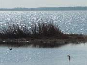 Im Hinterland der Insel Usedom: Achterwasser unterhalb des Konker Berges bei Pudagla.