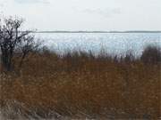 Wunderbare Farben: Das alte Schilf am Achterwasser im Hinterland der Insel Usedom.