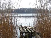 Blick auf den Kölpinsee: Ein landschaftlich sehr reizvolles Areal auf Usedom.