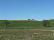 Nahezu ideale Landschaft: Die Usedomer Halbinsel Loddiner Hft am Achterwasser.