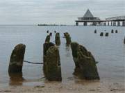 Neu und Alt: Reste der alten und die neue Seebrcke von Heringsdorf auf Usedom.