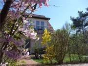 Der Steinbock-Ferienhof im Bernsteinbad Loddin: Bltenpracht im Garten.