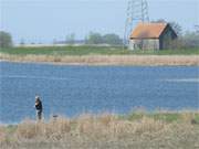 Angler am Peenestrom bei Peenemnde: Im Hintergrund das Schpfwerk "Piese".