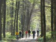 Mit dem Fahrrad durch den Naturpark Insel Usedom: Kstenradweg bei Koserow.