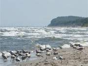 Die Usedomer Ostseekste zwischen Kpinsee und ckeritz.