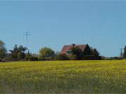 Eine wunderbare Landschaft liegt an der Krumminer Wiek zwischen Neeberg und Krummin.