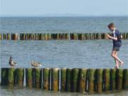 Kontaktaufnahme: Auf einer Buhne am Ostseestrand von Stubbenfelde, einem Ortsteil des Seebades Loddin.