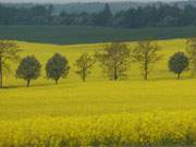 Farbenfroh: Das Haffland der Insel Usedom bei Bossin.