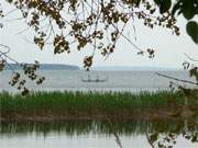 Fischerei auf dem Achterwasser: Stellnetz vor der Kste der Usedomer Halbinsel Gnitz.