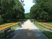 Augenweide: Der gepflegte Kurpark von Swinemnde nahe der Strandpromenade des Ostseebades.