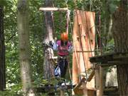 Gnstige Alternative: Der Kletterwald im Kurpark des Ostseebades Swinemnde.