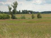 Zauberhafte Landschaft im Hinterland der Usedomer Kaiserbder: Gothen am Gothensee.