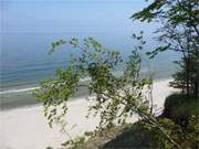 Zwischen den Bernsteinbdern Loddin und ckeritz zieht sich eine Steilkste am Ostseestrand entlang.