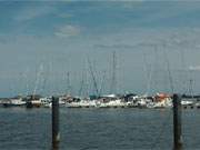 Wassersport auf Peenestrom und Greifswalder Bodden: Sportboote in der Marina Krslin.