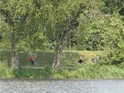 Auf dem Weg von Klpinsee nach Stubbenfelde: Radfahrer im Bernsteinbad Loddin.