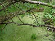 Im Verborgenen: Wasserzisterne nahe dem frheren Messhaus Kste in Peenemnde-Ost.