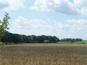 Sanfte Landschaft im Hinterland Usedoms: Felder zwischen Liepe und Rankwitz.