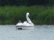 Seen auf der Insel Usedom: Mit dem Tretboot ber den Klpinsee.